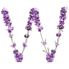vector image of the letter W of the English alphabet in the form of lavender sprigs in bright colors