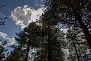 clouds in the sky