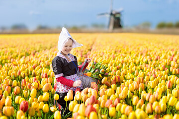 Child in tulip flower field. Windmill in Holland.