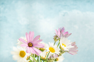 bunch of spring flowers over blue background with copy space