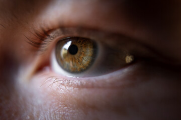 close up macro shot of an eye