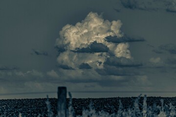 Cielo.
