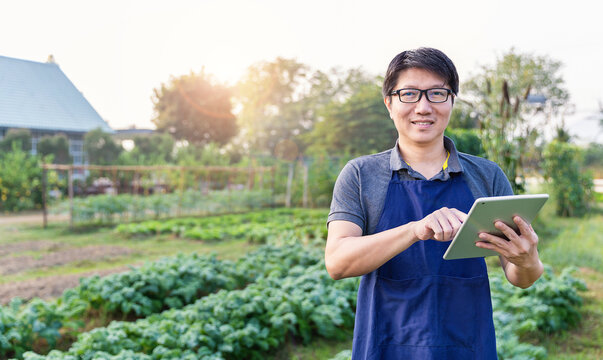 Portrait Of Happy Sme Owner Asian Man Working With Tablet Gardening Cabbage Farm, Nursery Worker Planting In Organic Farm, Startup Small Business Sme Owner, Asian Farmer, Fresh Vegan Food Banner