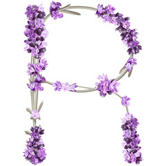 vector image of the capital letter R of the English alphabet in the form of lavender