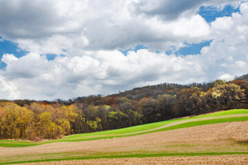 634-47 Spring Fields