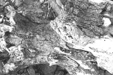 Abstract composition in monochrome