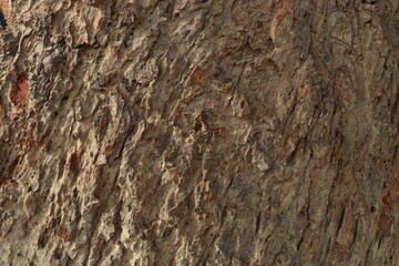 texture