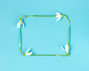 frame on postcard of snowdrops for Women's Day or Mother's Day. minimalism on a blue background