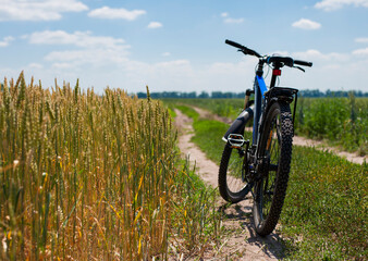 Obraz premium bike stands on the road in the field. A mountain bike stands on a field path with green grass. Mountain bike. wheat field, sunny day. ride a bike. focus on the rear wheel