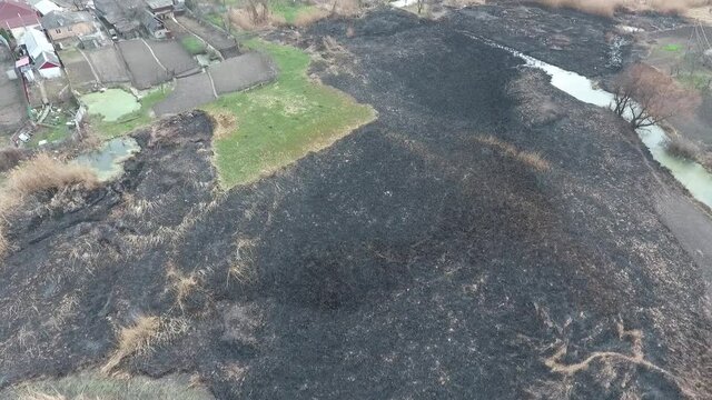 Drone flight over the burnt reeds in the river valley. Every year people burn reeds, harm nature, killing all living things