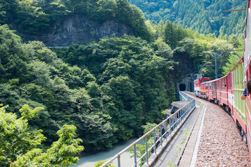 トロッコ列車と渓谷