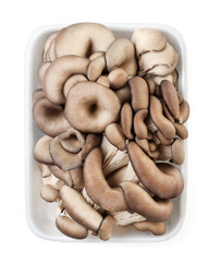 Oyster mushrooms in packaging on a white background, isolated The view from top