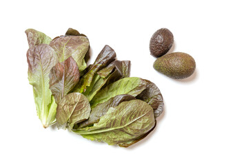 Vegan set made of fresh bunch of green salad romaine lettuce and two avocados, isolated on white background.