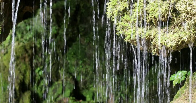 Close up footage of a small waterfall flowing over vegetation.