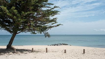 Un peu d'ombre sur une plage