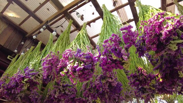 Decorative bunches of beautiful dried statice flowers hanging from the ceiling.