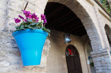 Fototapeta na wymiar Pink cyclamen in blue pot on a stone wall and arch of the house