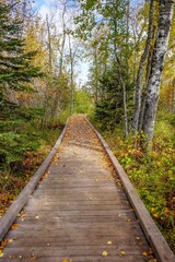 Fototapeta na wymiar Wooden trail at Tettegouche State Park in northern Minnesota along Lake Superior 