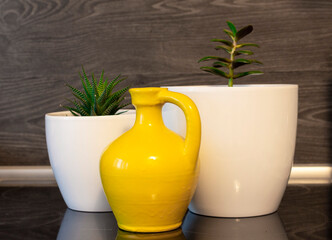 Succulents in white pots and yellow jug