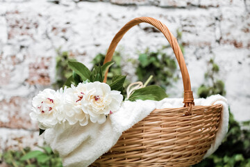 Fototapeta na wymiar Bouquet of white peonies flowers in basket outside against white wall. Spring flowers. Cut peonies in garden.