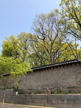 I took pictures of beautiful Changgyeonggung Palace on the weekend