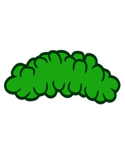 Gebüsch Hecke Design 