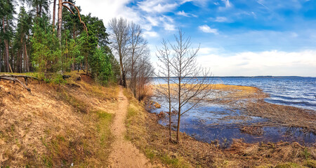 Panoramic view of the pine forest on the shore beautiful lake Kisezers in Riga, Latvia