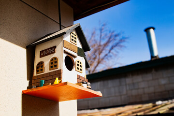 Wooden bird house, feeding place. Hanging tree house.