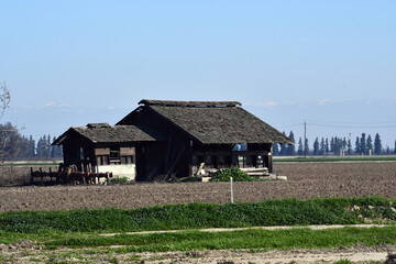 abandoned wooden farm in fog