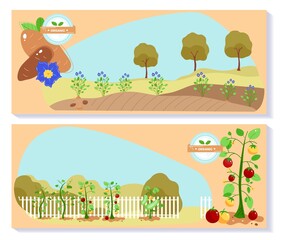 Farming cultivated plot, farmland countryside nature, agronomy hill harvest, design, in cartoon style vector illustration.