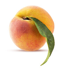 Peach fruit with green leaf