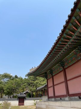 I took pictures of beautiful Changgyeonggung Palace on the weekend