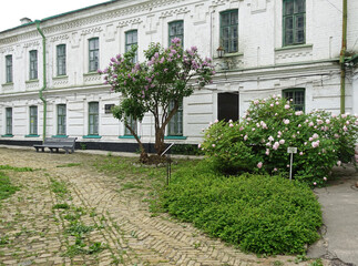 Old courtyard in Kiev Pechersk Lavra with bushes blooming in spring