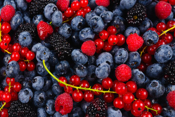 Blackberry, raspberry, blueberry,  red currant and mint background.
