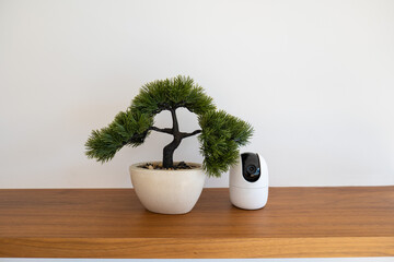 Indoor Überwachungskamera neben künstlichem Bonsai-Baum auf Sideboard vor weißer Wand