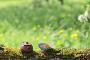 japanese tea ceremony in the spring garden, aroma cherry blossom sakura in asia