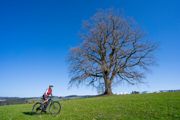 Fototapeta premium senior woman mountainbiking on a e-mountainbike in early spring below a huge old tree with snow covered Mount Hochgrat in background, in the Allgaeu Area, a part of the bavarian alps,Germany