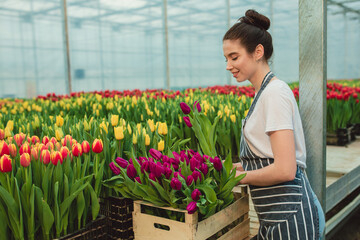 Beautiful young smiling girl holding flowers, worker with flowers in greenhouse. Concept work in the greenhouse, flowers. plenty of flowers. Copy space – stock image, tulip garden