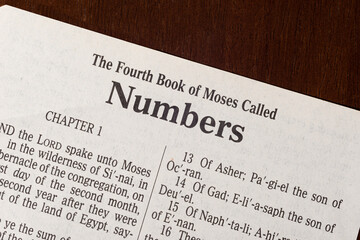 The Book of Numbers Title Page Close-up