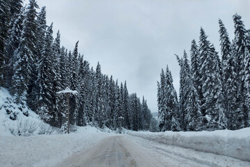 Beautiful natural winter landscape, stunning mountain views.The concept of tourism.Idyllic view of spruces covered in snow.