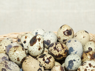 Fototapeta premium Fresh quail eggs for a healthy diet