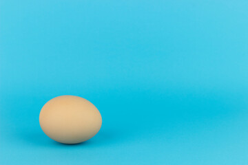 Chicken egg on a blue background, place for text