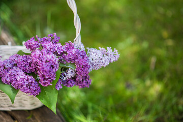 lilac flowers in the garden, purple flowers in a basket, rural cottage garden concept, banner background