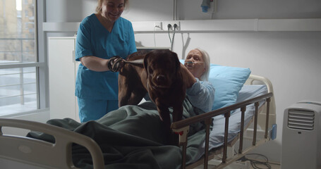 Nurse with cute dog visiting sick aged woman lying in hospital bed