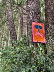 sign on a tree