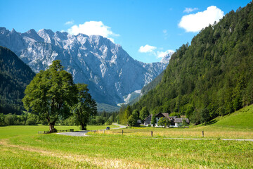Fototapeta na wymiar Beautiful summer view of amazing Slovenia nature. Logarska Dolina and Solcava panoramatic road. 