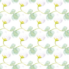 Floral watercolor patterns. Hand painted spring flowers on white background