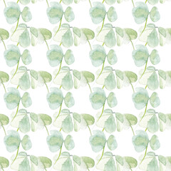 Floral watercolor patterns. Hand painted spring flowers on white background