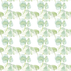 Floral watercolor patterns. Hand painted spring flowers on white background