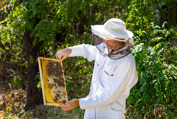 Beekeeper standing with frame full of honey. Handsome man harvesting bee honey.